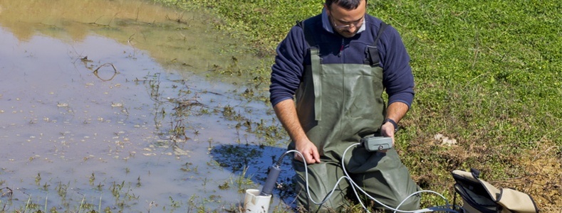 校準后的ph電極 校準后的ph電極