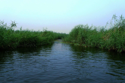 水質(zhì)監(jiān)測(cè)