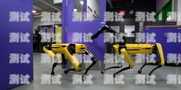 浙江電話機器人穩定嗎？電話機器人廠家