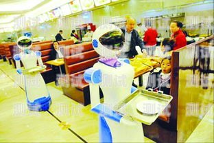 江門電話機(jī)器人價(jià)格及圖片江門機(jī)器人餐廳地址