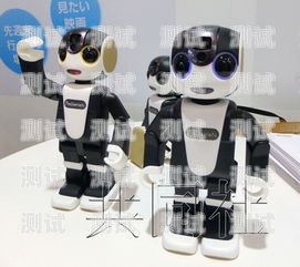 三明電話機器人價格表及相關信息機器人電話多少錢