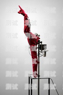 探索電話機(jī)器人的魅力與價(jià)值贊賞電話機(jī)器人的句子