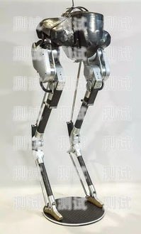 丹鳥電話機器人——高效溝通的新選擇丹鳥機器人說話