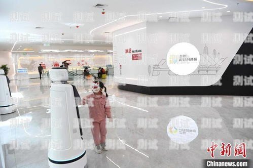 蘭州電話機(jī)器人公司，創(chuàng)新與發(fā)展的引領(lǐng)者蘭州電話機(jī)器人公司有哪些