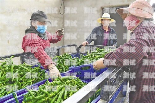 西藏智能電話機器人，助力西藏經濟發展的新力量西藏智能電話機器人公司