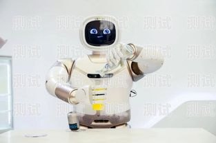 蕪湖電話機(jī)器人價格，了解市場行情與選擇建議機(jī)器人電話多少錢