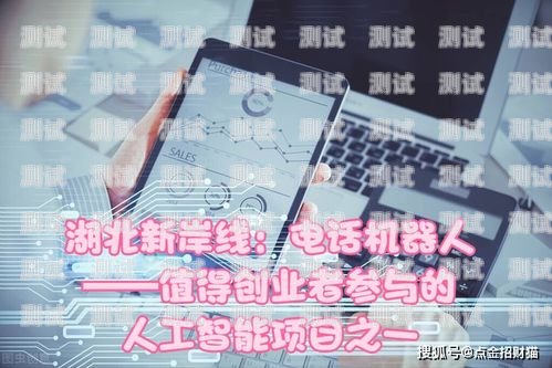 開(kāi)創(chuàng)銷售電話機(jī)器人新紀(jì)元——?jiǎng)?chuàng)業(yè)之路銷售電話機(jī)器人創(chuàng)業(yè)項(xiàng)目