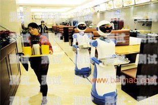 浙江電話機器人服務熱線，高效、便捷的溝通橋梁浙江電話機器人服務熱線號碼
